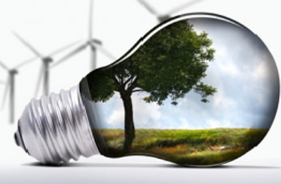 Volunteering & Environment